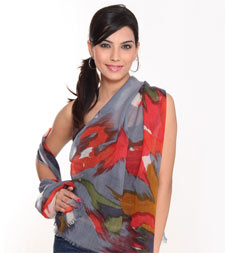 Manufacturer of Screen/Hand Printed Stoles in Delhi, India