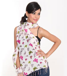 Dealer of Screen/Hand Printed Stoles in Delhi, India